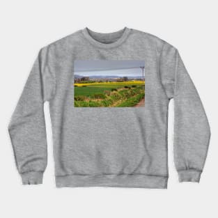 Almond Viaduct Crewneck Sweatshirt